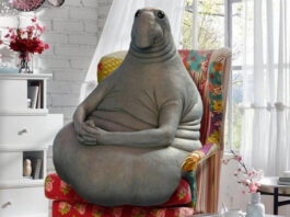 Анонс Meizu 20 состоится через 2-3 недели, вот куда перешел работать Арестович