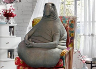 Анонс Meizu 20 состоится через 2-3 недели, вот куда перешел работать Арестович