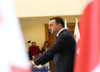 Грузинскому премьеру не понравилось, что украинские политики поддержали протесты в Грузии