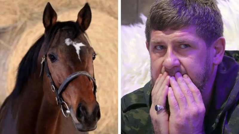 Кадыров пожаловался, что его подсанкционного коня украли в Чехии за 10 миллионов долларов