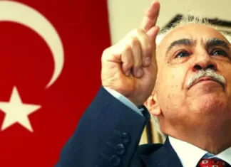 Кандидат в президенты Турции Догу Перинчек предложил признать Крым и Донбасс частью россии