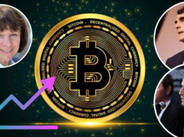 Кризис в мире криптовалют: почему прогнозы ошибаются и как сделать свой