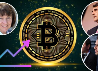 Кризис в мире криптовалют: почему прогнозы ошибаются и как сделать свой