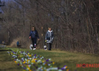 Прогноз погоды на 20 марта – на улице все теплее