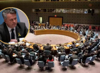 Россия созывает Совбез ООН через русофобию: Кислица посоветовал обратиться к санитарам