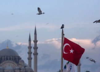 Таможенная система Турции запретила транзит подсанкционных товаров в россию