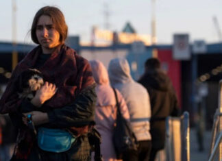 Украинские беженцы в Нидерландах стали жертвами трудовой эксплуатации