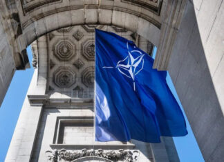 Украинские военные могут получить все необходимое для контрнаступления от североатлантического альянса: как именно