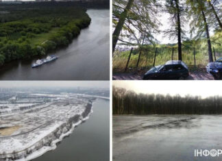 В москве вырубают леса и заповедники, чтобы установить ПВО – СМИ