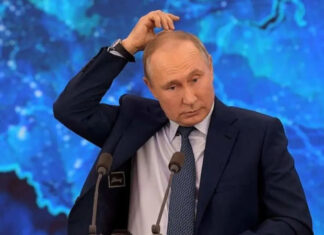 В правительстве Германии пообещали арестовать путина