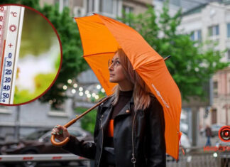 Весна полностью заполонит Украину: прогноз погоды на вторую половину марта