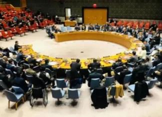 Балтийские страны поддержат Украину: все они не хотят, чтобы россия председательствовала в Совбезе ООН