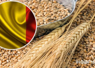 Еще одна страна может запретить импорт зерна из Украины