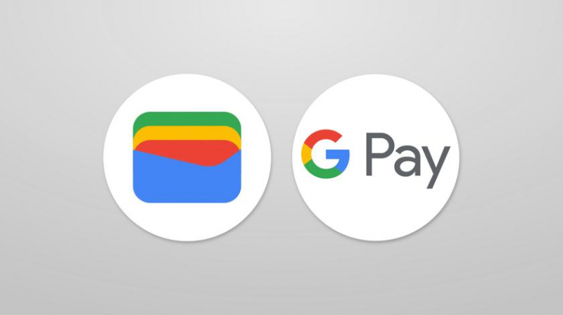 Google случайно раздал до 1000 долларов обычным пользователям Google Pay, которые не подлежат возврату