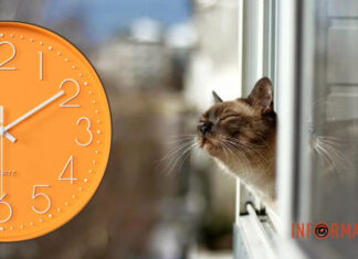 Гороскоп на 2 апреля для всех знаков Зодиака – день учебы и домашних хлопот