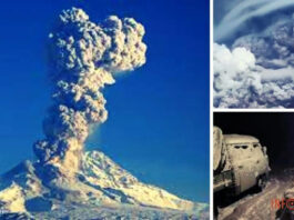 Извержение вулкана Шивелуч на Камчатке 11 апреля — фото, видео