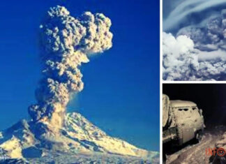 Извержение вулкана Шивелуч на Камчатке 11 апреля — фото, видео