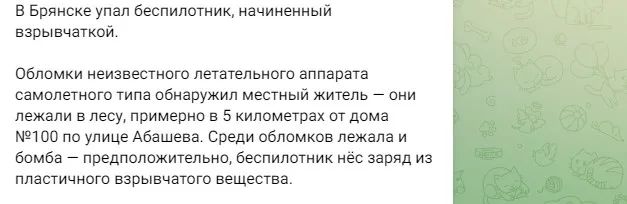 Начиненный взрывчаткой беспилотник упал под российским Брянском