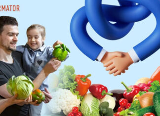 Продуктовые торговые сети подписали Меморандум: как это повлияет на цены в супермаркетах