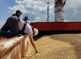 Турция вводит пошлину 130% на импорт украинского зерна