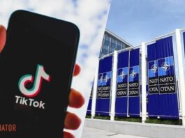 В НАТО запретили использовать TikTok – в чем причина