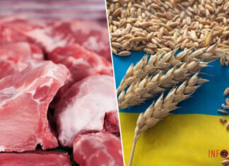 Венгрия существенно расширила список продуктов, которые запрещает импортировать из Украины