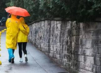 Запад и Восток накроют весенние дожди с грозами — погода на 25 апреля