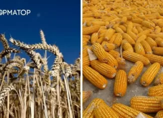 Еще одна страна вводит ограничения на импорт агропродукции из Украины