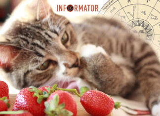 Гороскоп на 14 мая для всех знаков Зодиака – нельзя бездельничать и надолго оставаться в одиночестве