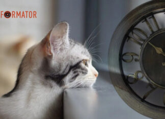 Гороскоп на 24 мая для всех знаков Зодиака — есть риск поссориться с друзьями