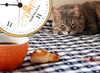 Гороскоп на 3 мая для всех знаков Зодиака – ускорятся реакции, но могут пошаливать нервы