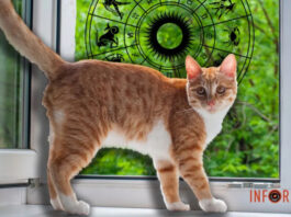 Гороскоп на 30 мая для всех знаков Зодиака: день, когда особенно важно помогать другим