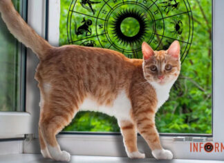 Гороскоп на 30 мая для всех знаков Зодиака: день, когда особенно важно помогать другим