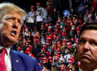 Избирательная стратегия: Трамп беспощадно издевается над своим однопартийцем Десантисом