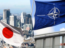 Япония хочет открыть у себя офис НАТО – он станет первым в Азии