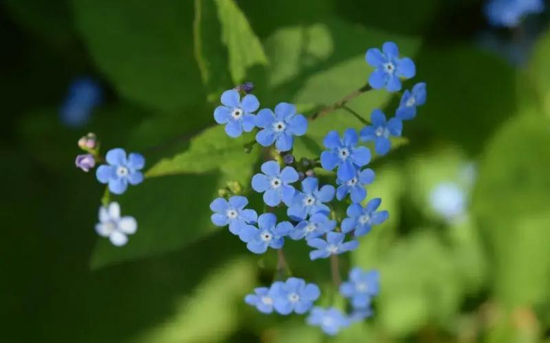 Какой сегодня, 25 мая, праздник - Вознесение Господне и Шавуот