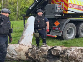 Киевлянин на своем огороде увидел крылатую ракету Х-55, которая влетела в землю и не разорвалась