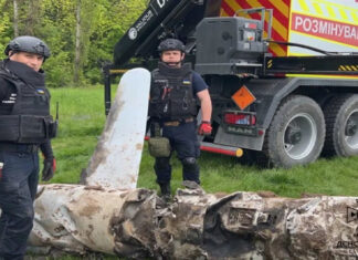 Киевлянин на своем огороде увидел крылатую ракету Х-55, которая влетела в землю и не разорвалась