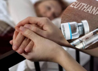 Парламент Португалии одобрил закон об эвтаназии: теперь слово за президентом страны