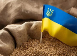 Почему россия не хочет продлевать зерновое соглашение и как это связано с выборами в Турции