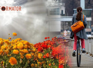 Погода 11 мая — облачно с прояснениями