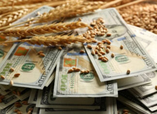 Срыв зернового соглашения может обернуться долларом выше 40 гривен — эксперт