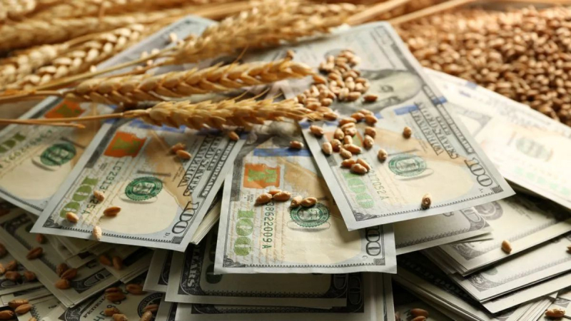 Срыв зернового договора может обернуться долларом дороже 40 гривен - эксперт