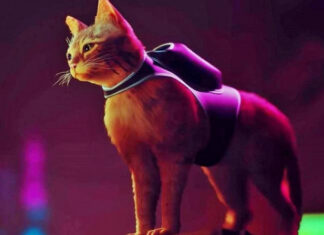 Страница версии Stray для Xbox удалена с сайта ESRB. Но игра все же может выйти на американских консолях во второй половине года