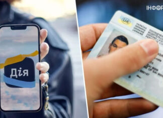 В Дії появилась возможность заменить водительское удостоверение: инструкция