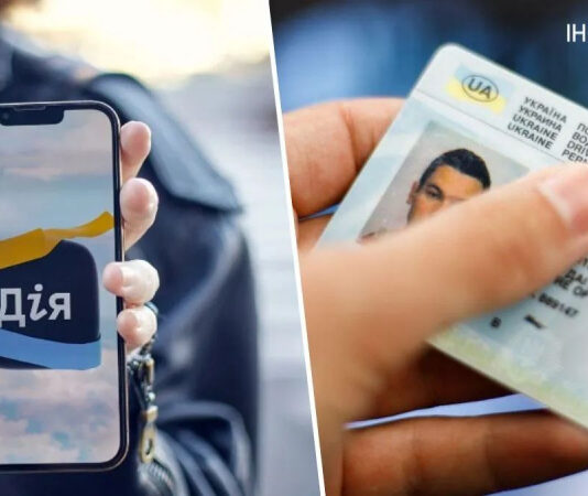 В Дії появилась возможность заменить водительское удостоверение: инструкция