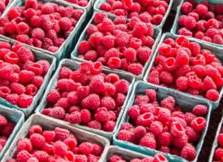 В Киеве «взлетели» цены на малину. Местами они достигают 2000 грн за кг