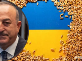 В МИДе Турции назвали срок продления зернового соглашения