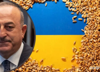 В МИДе Турции назвали срок продления зернового соглашения