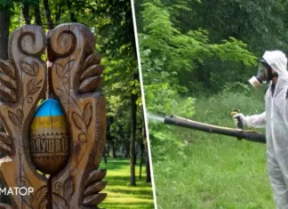 В парках Киева будут уничтожать клещей: адреса